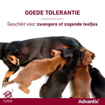 Elanco Advantix Spot On