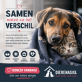 Red een Leven Vandaag – Doneer voor Dieren in Nood 🐾